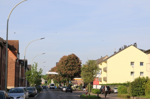 Hauptstraße in Weiden-Wersch Richtung Aachen